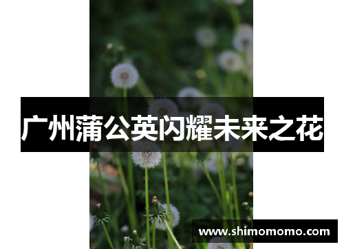 广州蒲公英闪耀未来之花