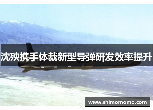 沈殃携手体裁新型导弹研发效率提升
